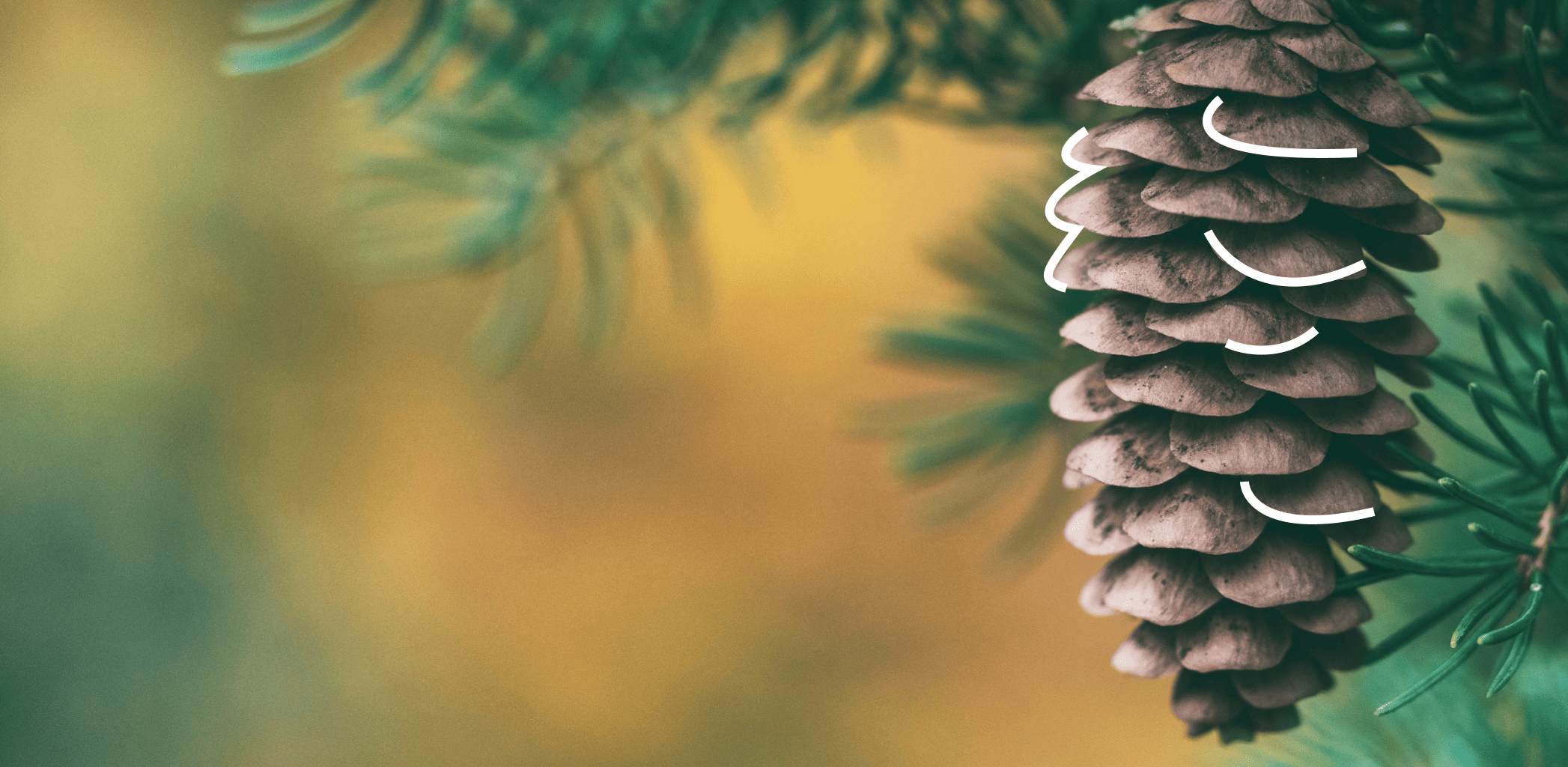 Секреты выбора идеального подарка: что будет актуально в 2025